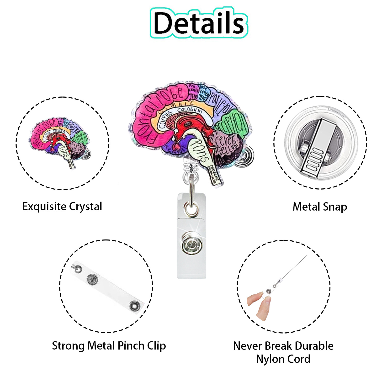 Acrylic Heart Lung Brain Kidne - Xray Tech Accessories recension och pris