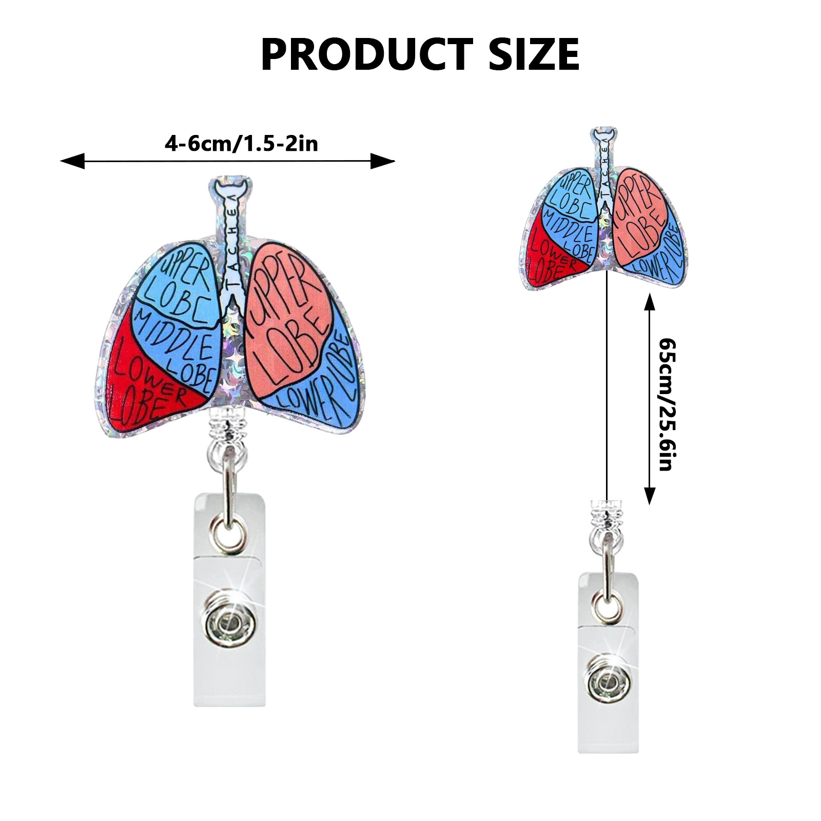 Acrylic Heart Lung Brain Kidne - Xray Tech Accessories recension och pris