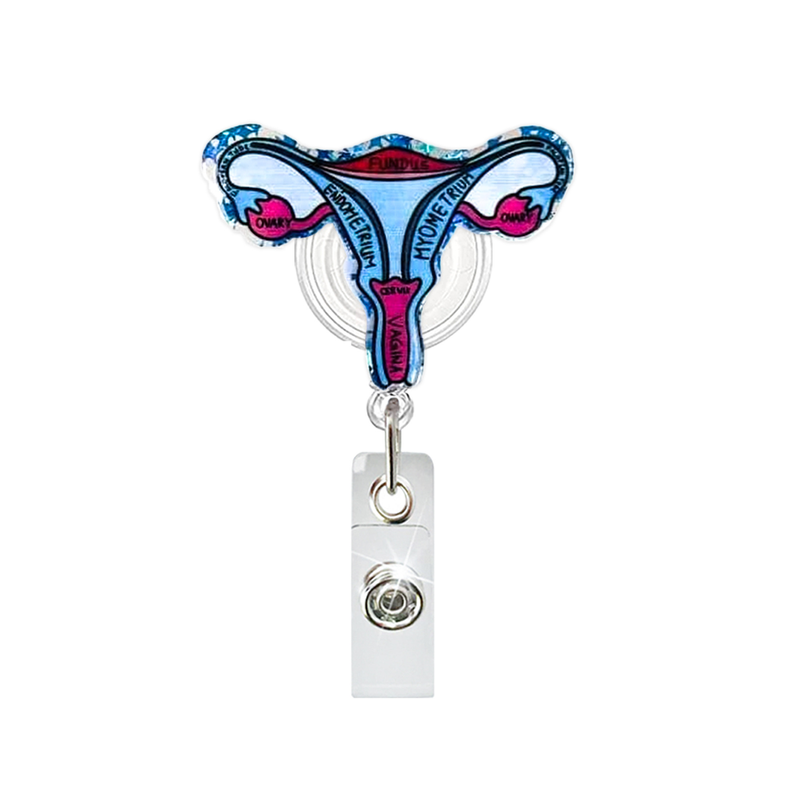 Acrylic Heart Lung Brain Kidne - Xray Tech Accessories recension och pris